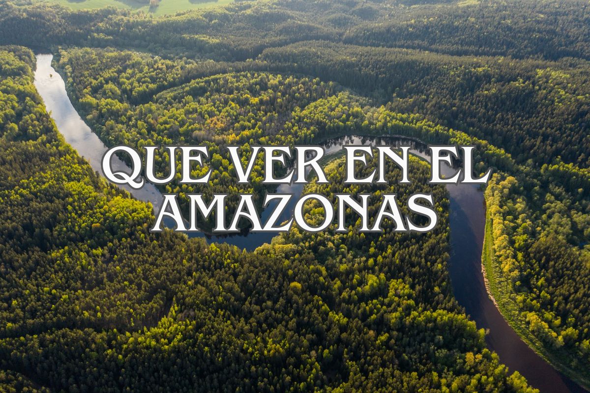 que ver en el amazonas de la selva amazonica