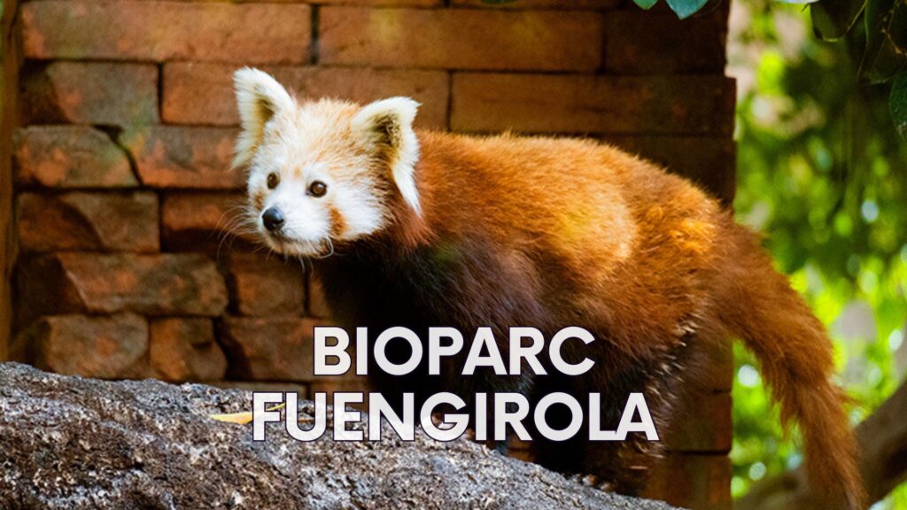 Bioparc Fuengirola Costa del Sol